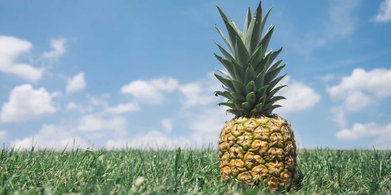 从直觉到智能:数据驱动决策如何重塑企业运营与战略