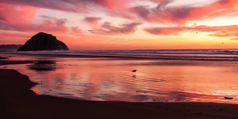 平台化组织设计：打破部门墙，构建赋能创新与规模化协同的未来管理架构