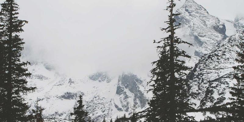 流程再造新引擎:自动化与智能化如何重塑企业核心运营