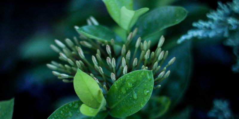 知识赋能战略:如何通过知识管理构建企业不可复制的组织学习能力