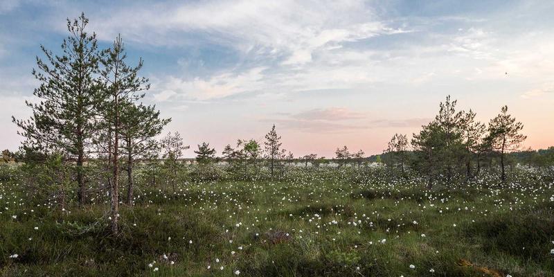 驾驭不确定性：构建企业战略、运营与咨询三位一体的风险防控体系